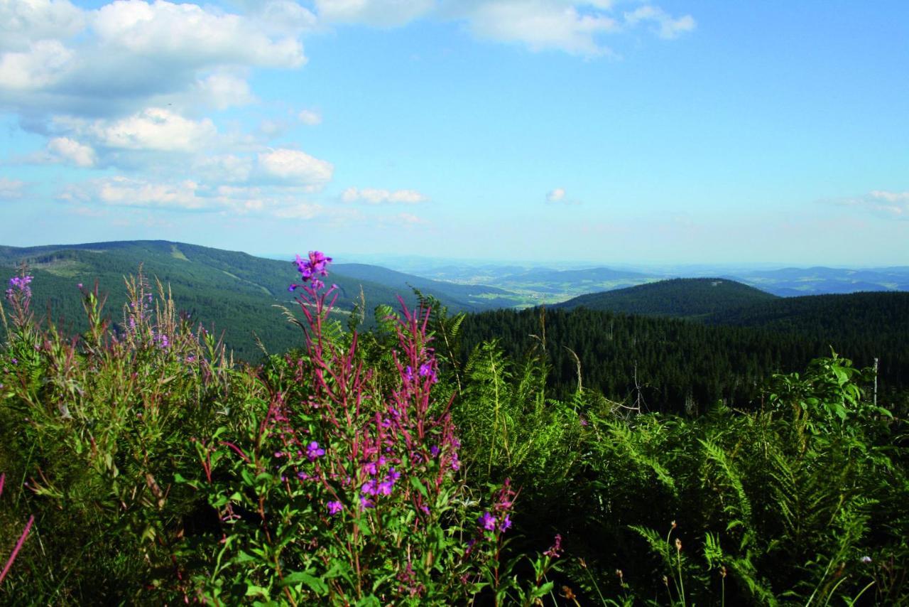 Ferienhof Schaubmeier Klaffer am Hochficht Luaran gambar